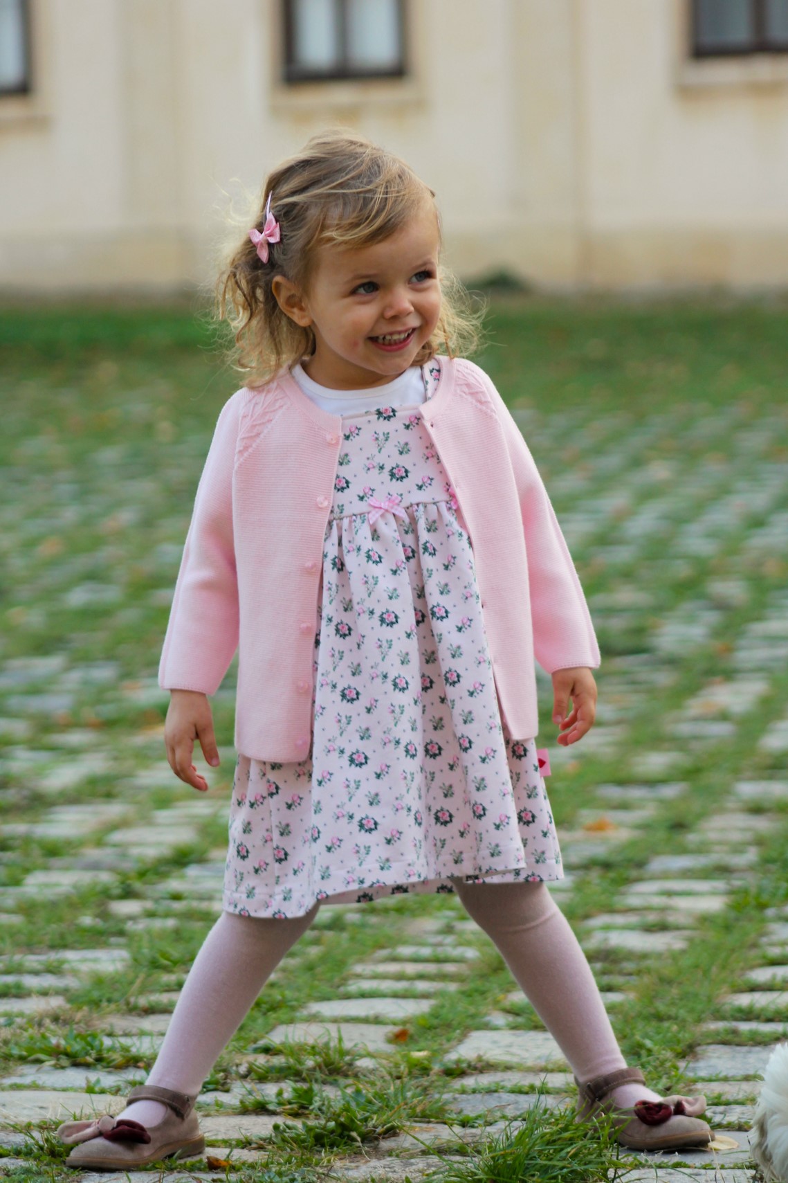 Bolero Rose